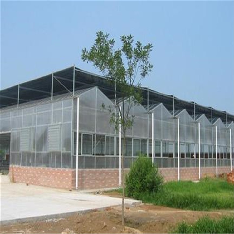 玻璃日光温室大棚造价 青州智能养殖温室设计旭航温室大棚建设