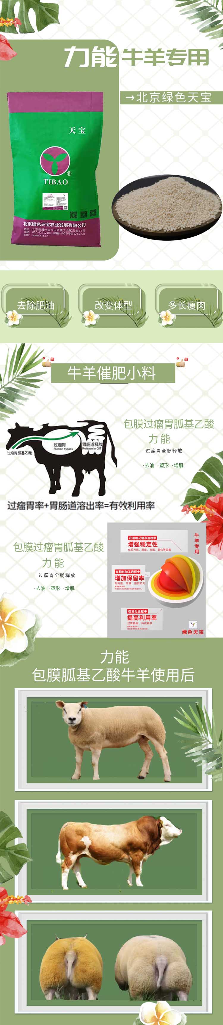 牛羊反刍动物提高生长速度胍基乙酸北京