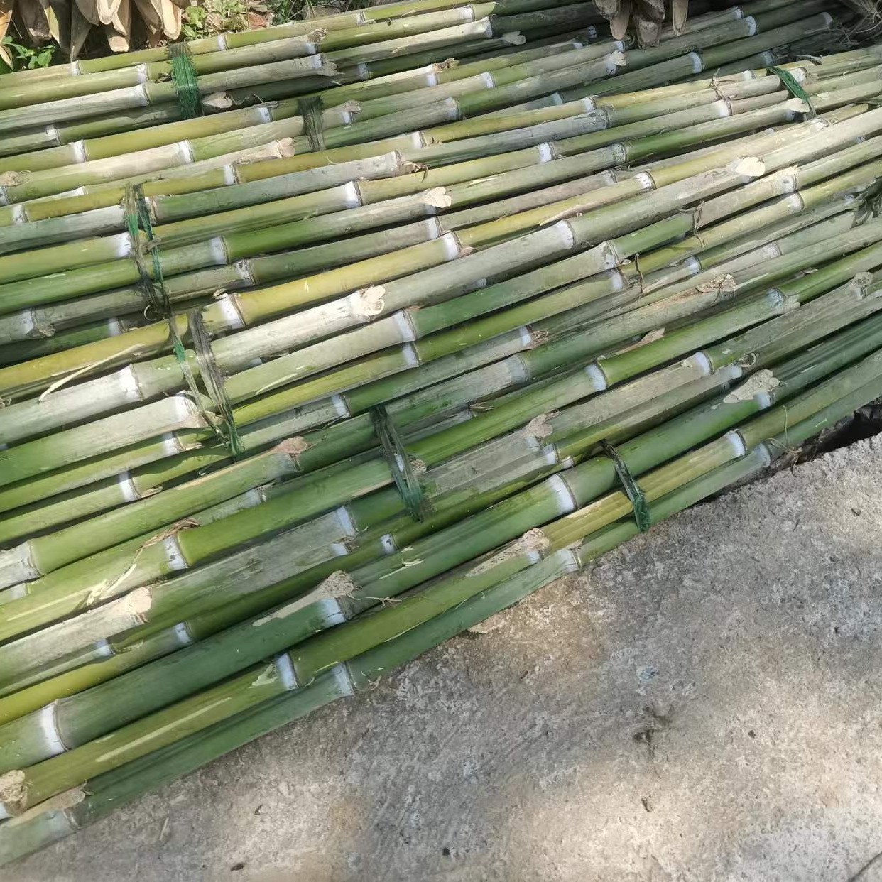 2米蔬菜竹竿 大棚打桩竹竿粗细齐全规格可定制