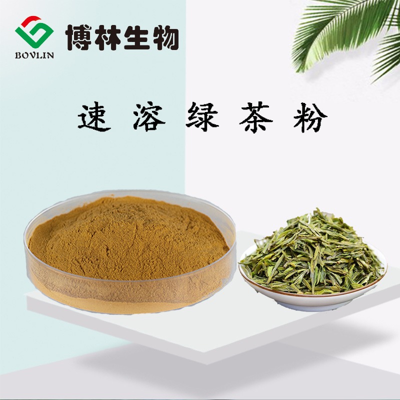 速溶绿茶粉  水溶性好   绿茶提取物  绿茶粉  茶多酚 博林生物 可寄样品
