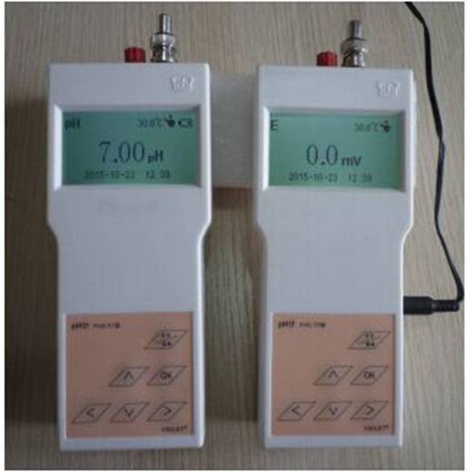 便携式酸度计 PHS-P、双电源供电 测量范围宽