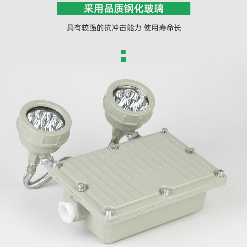 厂家批发 双头应急灯IIC-BAJ52 防爆消防LED应急灯 应急90分钟