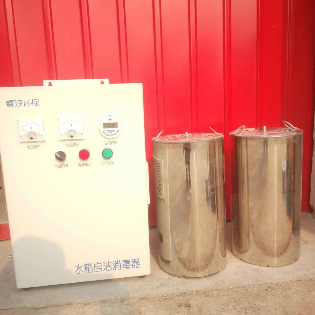 内置式水箱自洁消毒器WTS-2B 1拖2不锈钢材质自动控制柜 睿汐环保厂家图片