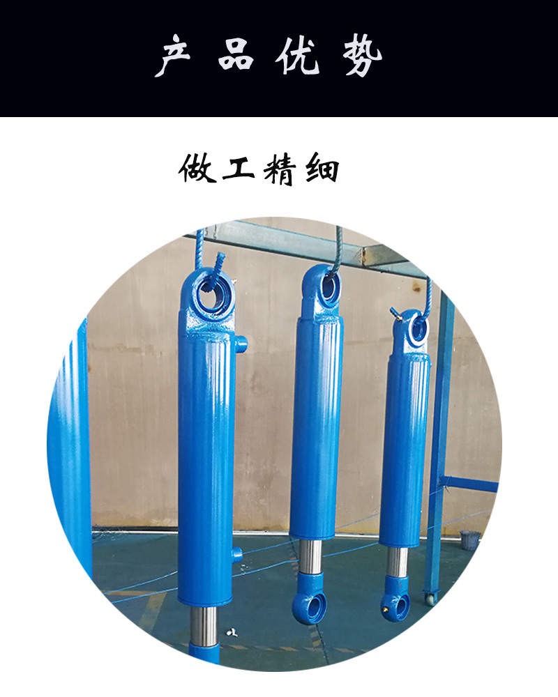 鲁鑫 供应柳州SJYG90/60-800机械摆动双出杆液压油缸示例图5