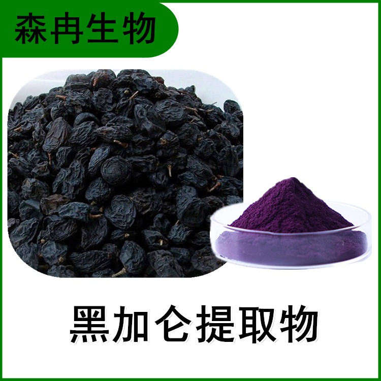 森冉生物  黑加仑花青素25% 黑加仑提取物 浓缩粉 多种规格 紫色粉末图片