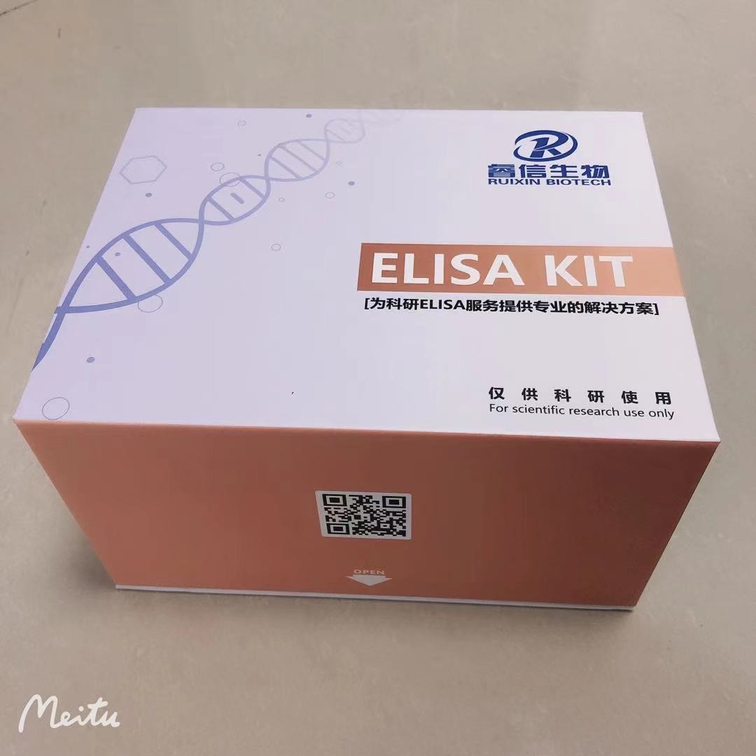 睿信生物 大鼠免疫球蛋白MIgMELISA试剂盒