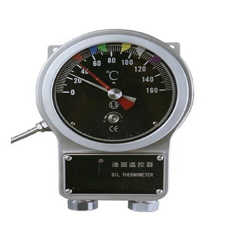 变压器油面温度控制器 型号:BS12-BWY-804ADTH 库号：M338910 其他