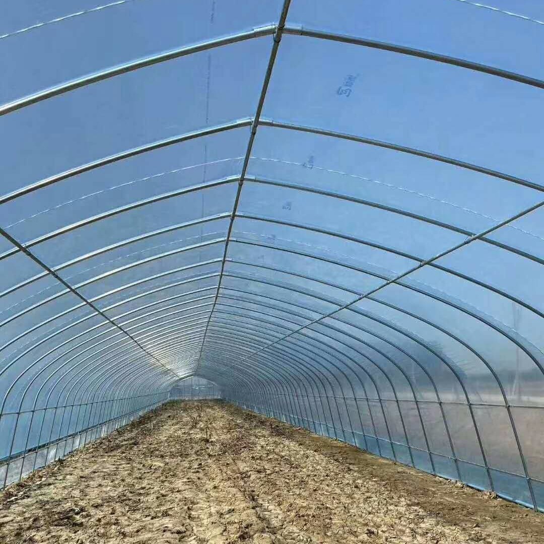 蔬菜塑料大棚 种植食用菌的大棚 新型蔬菜大棚建设 建个养殖大棚