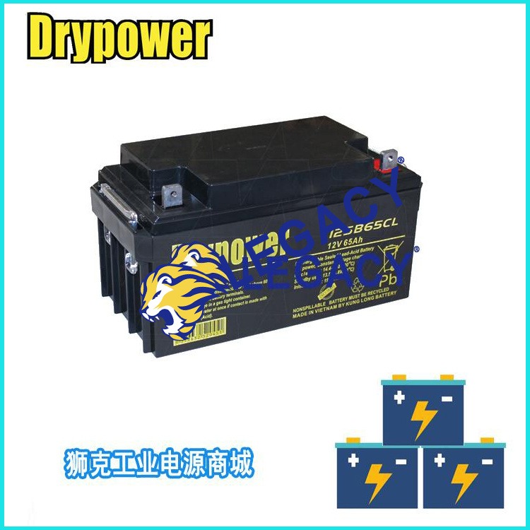 美国DRYPOWER蓄电池12SB65CL 12V65AH工业储能UPS/EPS电池
