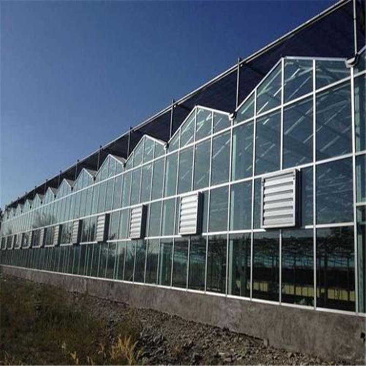 商河智能温室建设  新型槽型玻璃大棚  旭航温室工程建设厂家
