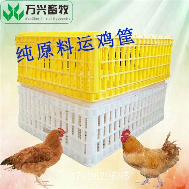 塑料鸡周转箱 ABS塑料周转箱 耐磨塑料鸡笼