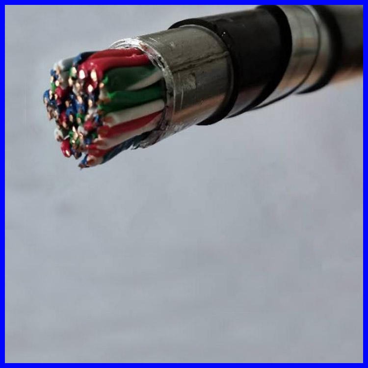 铁路信号电缆 WDZ-PTYL23 21芯阻燃铠装信号电缆