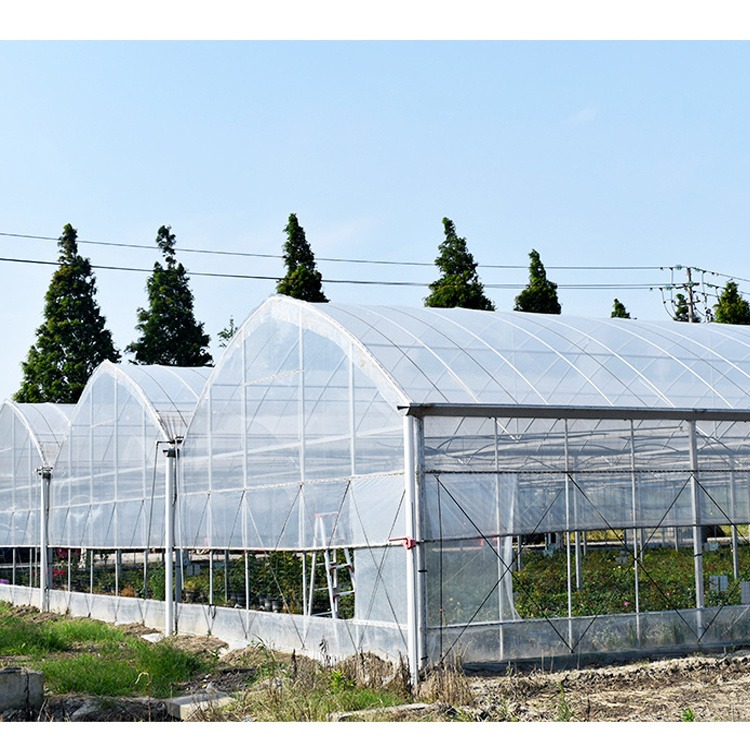 厂家供应温室花卉大棚 养殖大棚 葡萄种植新型遮阳大棚定制 嘉诺