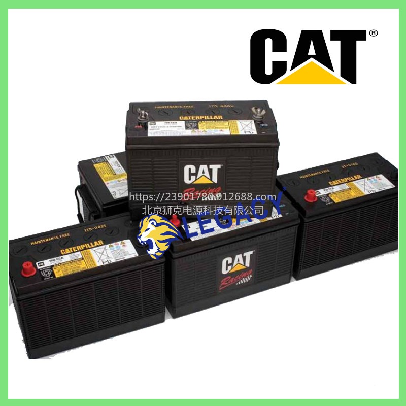美国CAT蓄电池152-8006，12V183AH电池-酒泉供应商