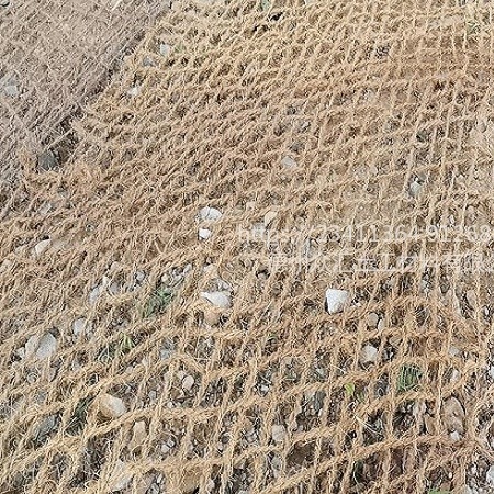 椰丝椰网 可降解CF网植草护坡 山体绿化椰丝纤维网