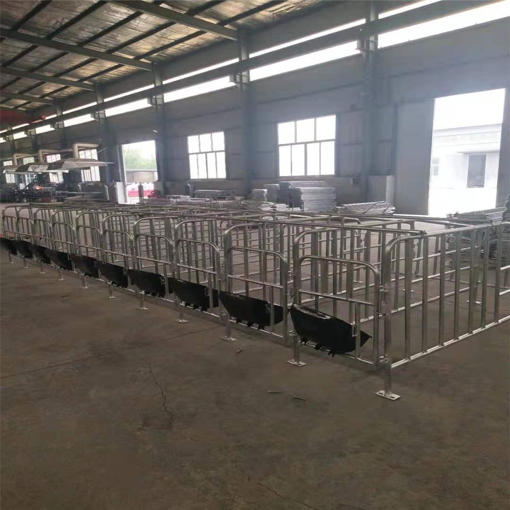 世昌养猪定位栏猪床设备厂家687461育肥猪栏床定制图片