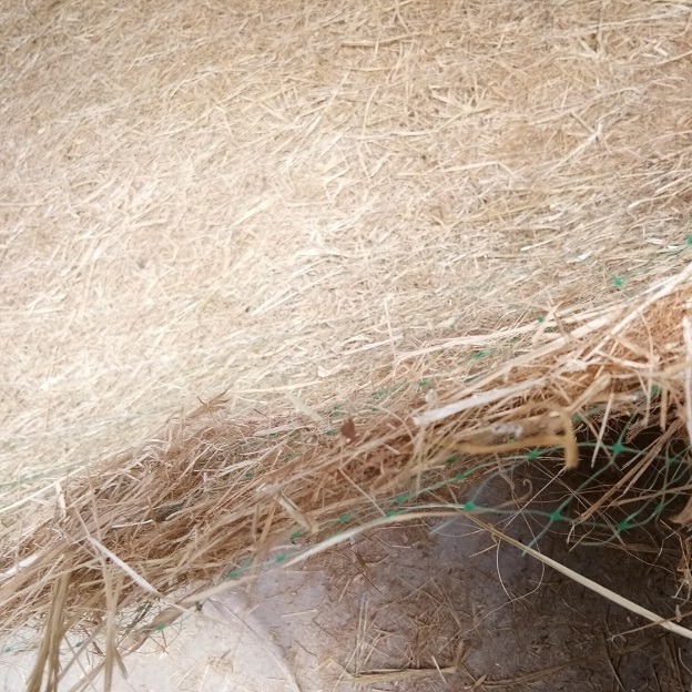 厂家出售加筋椰丝毯 生态护坡草籽椰丝毯厂家 边坡绿化生态草毯-众汇可定制抗冲生物毯护坡