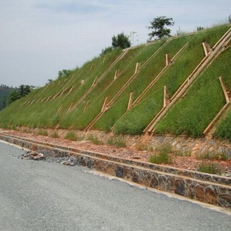 喷灌边坡绿化环保客土喷播山体修复工程 客土喷播施工单位图片