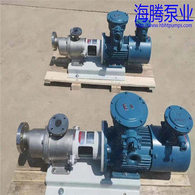 蒸馏真空齿轮泵HT型 海腾泵业定制生产销售磁力真空出料泵