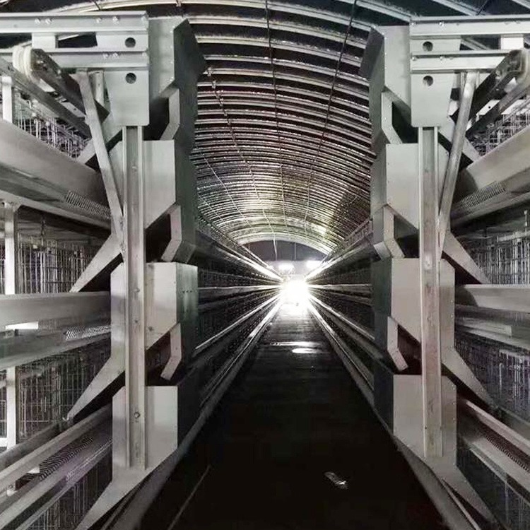 自动化喂料机厂家  层叠式鸡笼喂养设备  可行走喂料设备