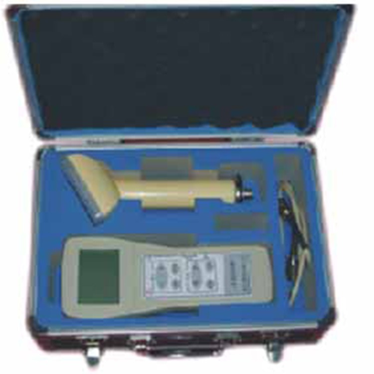 XH-3209测量仪 XH-3209型α、β、γ表面污染测量仪