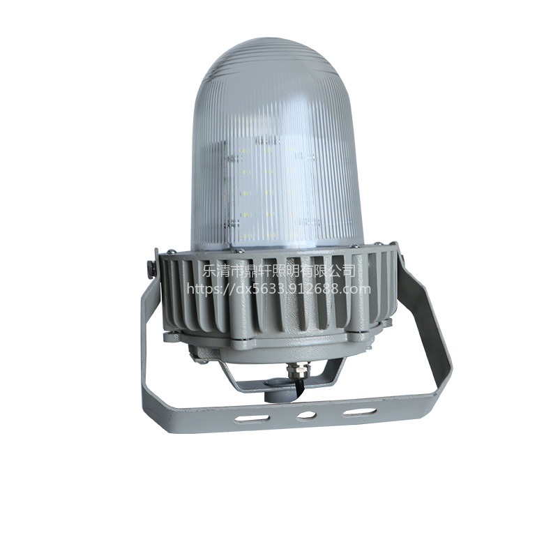 鼎轩照明YB5320-60W防眩泛光灯 吸顶式安装 白光 电厂变电站灯具