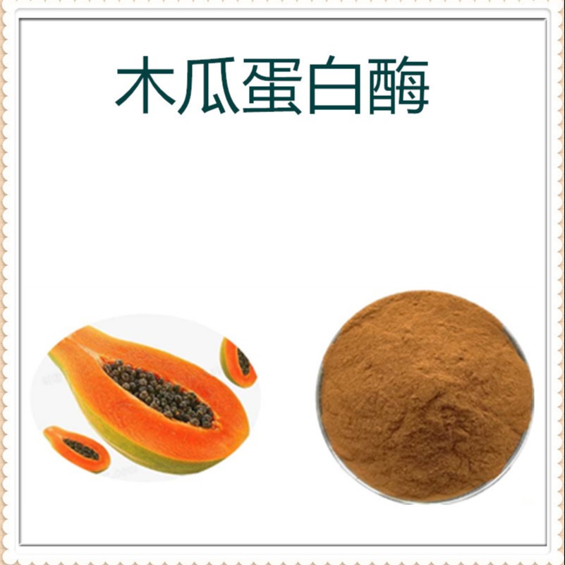 木瓜蛋白酶 食品级原料 木瓜提取物 多规格 酵素 沃特莱斯生物