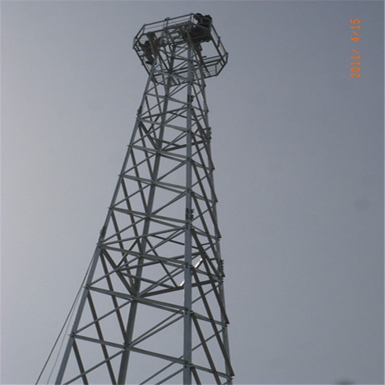 定制设计河道环保监测塔  15米边防监控塔 山顶防火监控塔 泰翔 质保30年