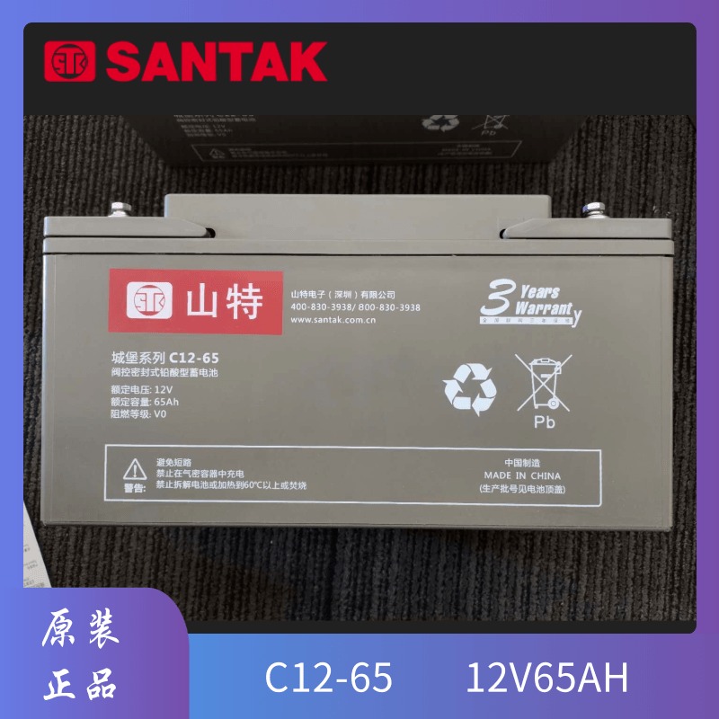 山特蓄电池12V65AH C12-65 铅酸免维护 EPS UPS 直流屏专用铅酸蓄电池