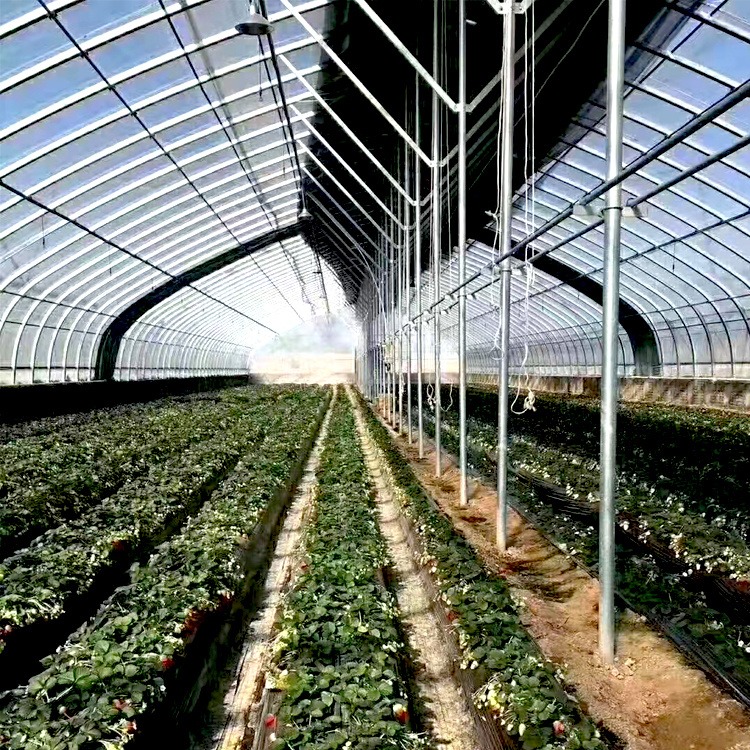 种植大棚 大棚厂家 免费设计蔬菜棚 养殖棚 生产 安装一体化服务
