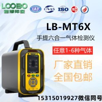 路博LB-MT6X泵吸手提式六合一气体分析仪红外无线打印机选配