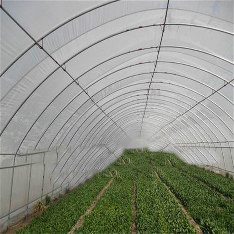 河南阳光板温室建设 河南蔬菜大棚安装价格 旭航温室