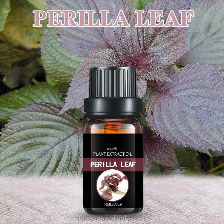 Body lotion scented oil Perilla leaf oil essential oil plant extract