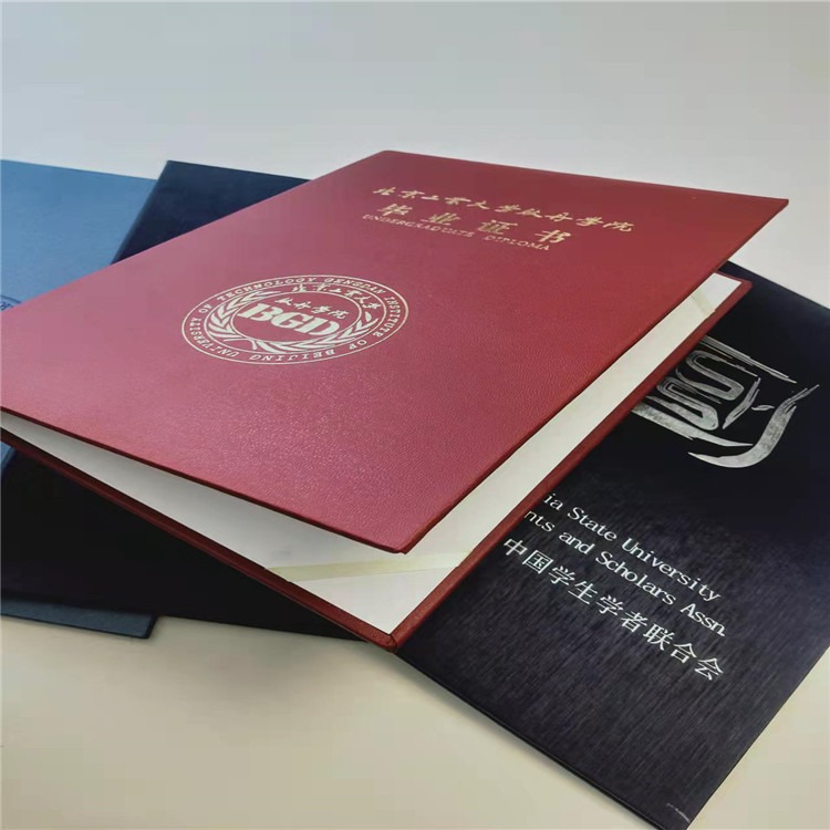 北京证书印刷厂家 专业技能人才评价合格证书  浮雕底纹专业技术证书设计