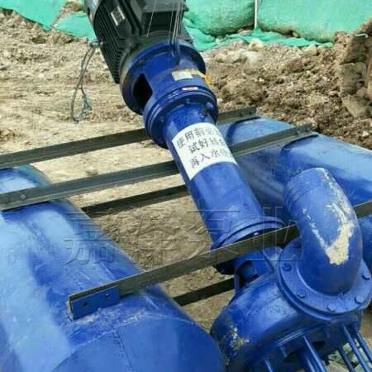 嘉泽泵业 液下抽沙泵 立式泥浆泵 加厚耐磨渣浆泵