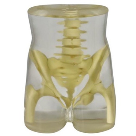 Delta德尔塔仪器RSD模体骨盆模体臀部模体图片