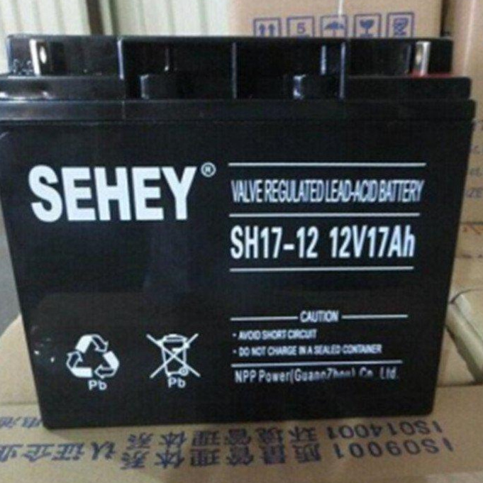 SEHEY西力蓄电池12V200AH NP200-12UPS EPS电源配套