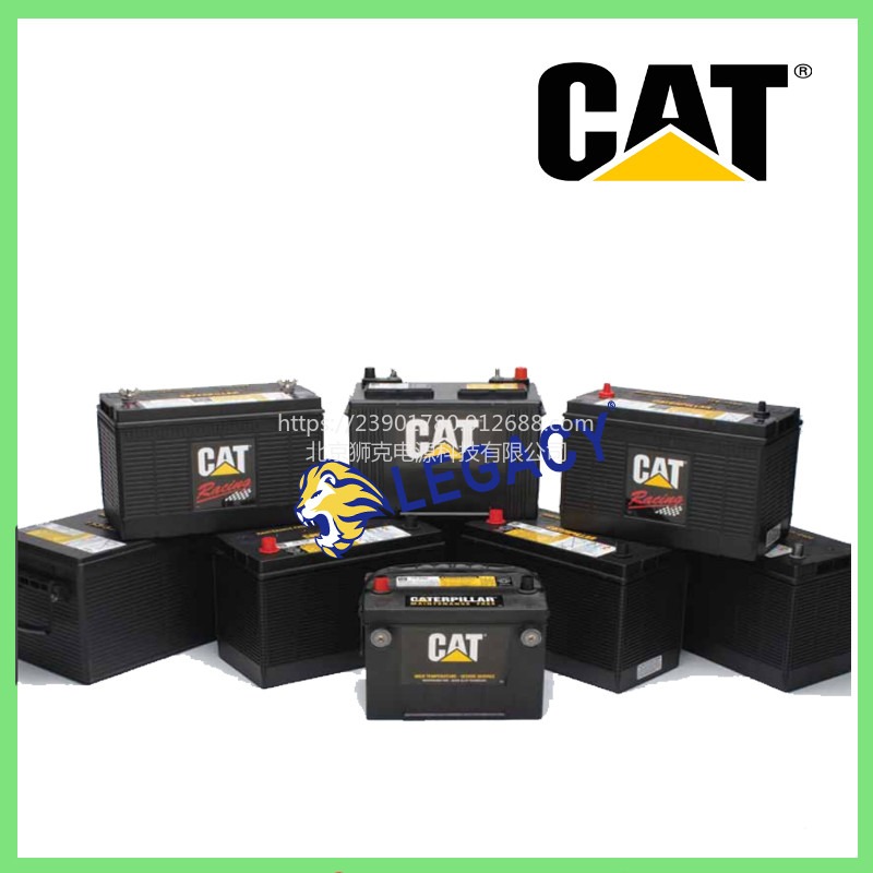 美国CAT蓄电池9X-1384，12V32AH电池-兰州供应商
