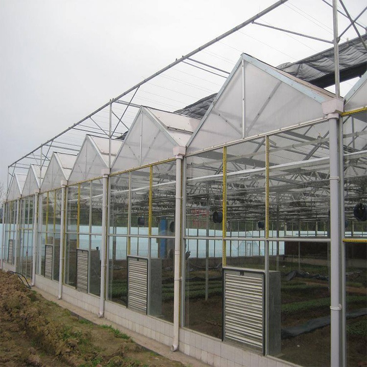 连体大棚  玻璃连体棚  结实耐用博利农业建造