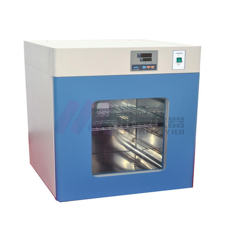 电热恒温培养箱 DH2500A  实验室培养装置    可视化培养箱
