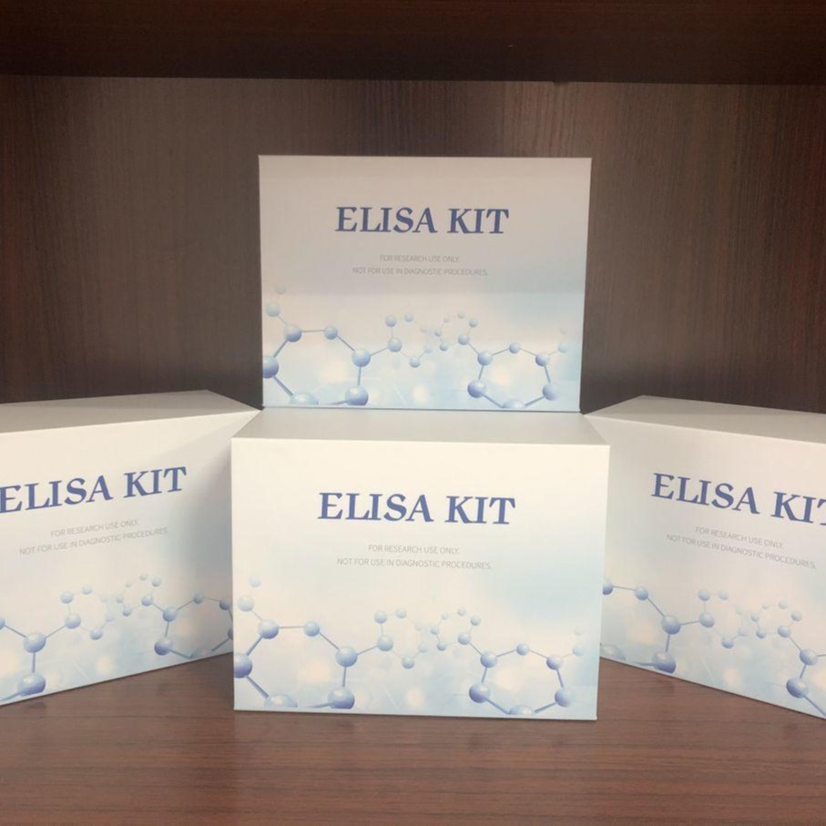 人纤溶抑制因子凝血酶激活的纤溶抑制物试剂盒 TAFI elisa试剂盒 仑昌硕生物图片