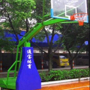 通宝 室外防液压手动电动篮球架 户外标准成人移动升降篮球架图片