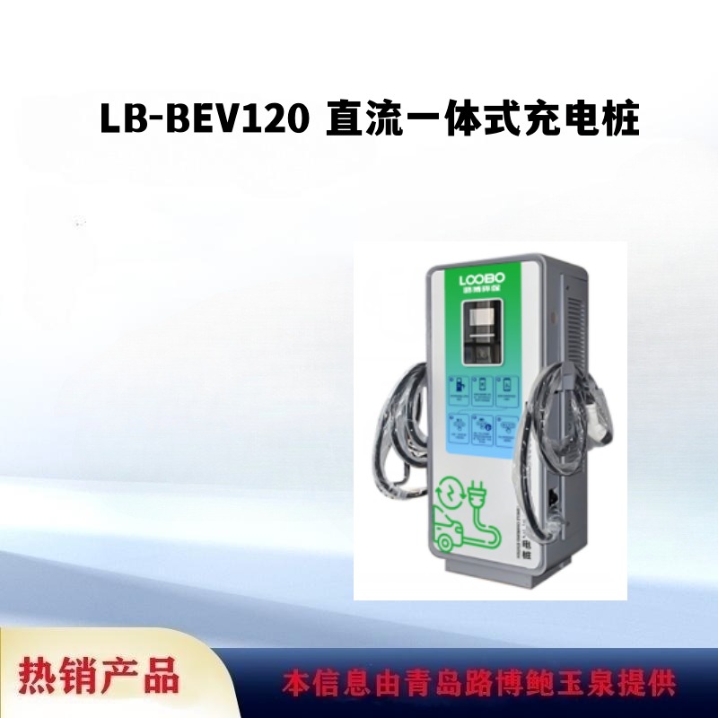 商场、工业园区、充电站、停车场用LB-BEV120 系列直流一体式充电机