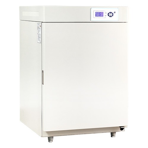 一恒二氧hua碳培养箱红外传感器-普及型BPN-50CH(UV) BPN-80CH(UV)  CO 2 微生物培养箱图片