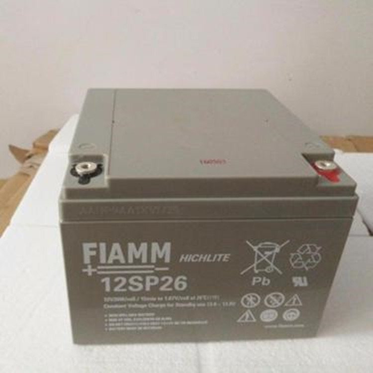 非凡电池2SLA100 FIAMM蓄电池 意大利非凡蓄电池2V100AH技术参数