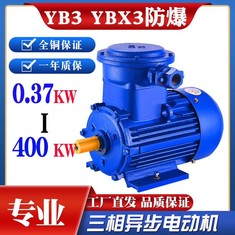YB3/YBX3/YBX4三相防爆电动机隔爆电机110/132/160/185/200KW一年包换