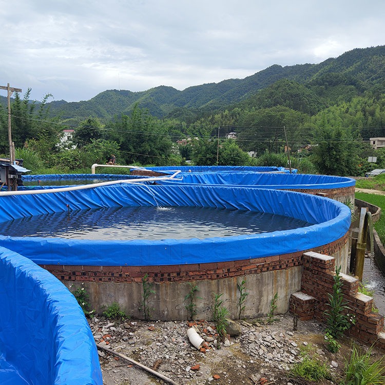 一达帆布鱼池蓝色水产帆布池3米养殖桶大型鱼池地面鱼池帆布图片