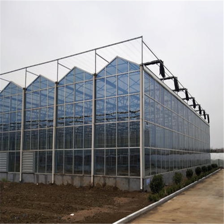 上海新型温室大棚厂家 出口蔬菜大棚加工厂家 旭航温室