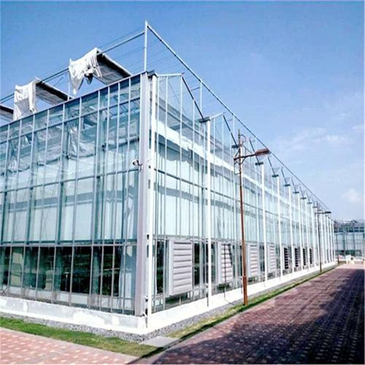 屋面全开合式温室 南阳建玻璃温室厂家 旭航温室图片