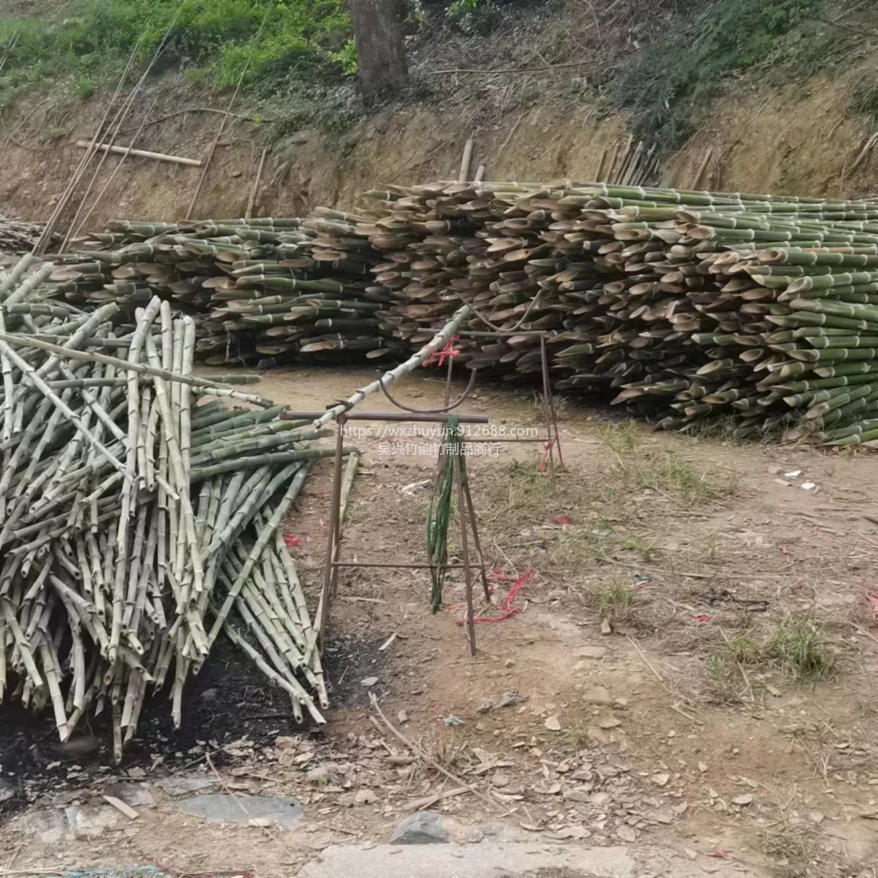竹韵竹制品厂家产地批发青竹稍 毛竹尾用于支撑打桩 插渔网图片